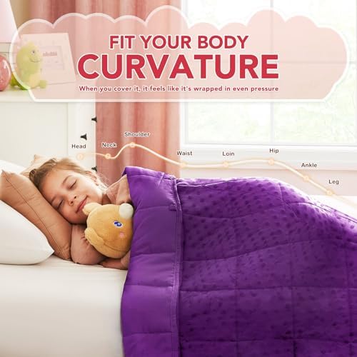 CuteKing Weighted Blanket - 40"x60" 10lbs Minky Dots Heavy Blanket with Glass Beads Soft Breathable for All-Season Summer Fall Winter Thick Comfort for - Image 3