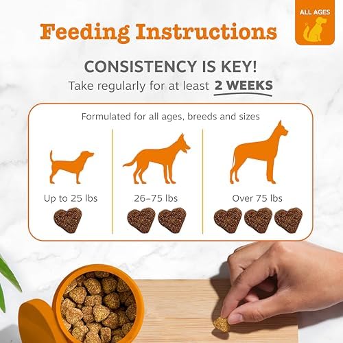Zesty Paws Glucosamine for Dogs - Dog Joint Supplement, Bacon, 50 Ct - Image 4