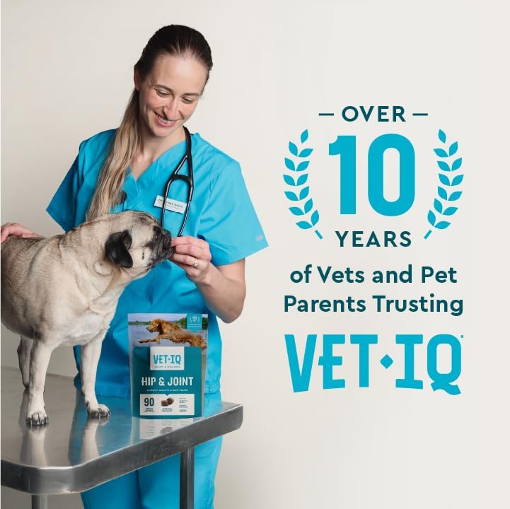 VetIQ Advanced Hip & Joint Chews, 60 Ct Chicken Flavor, Glucosamine for Dogs, Hip and Joint Supplement with Omega 3, Chondroitin, MSM, Green Lipped Mussel, Increases Mobility, Maintains Muscles - Image 6