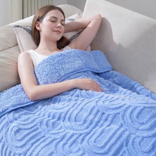 Drewin Weighted Blanket Queen Size for Adults 15lbs,Sky Blue,48" x 72" by Home