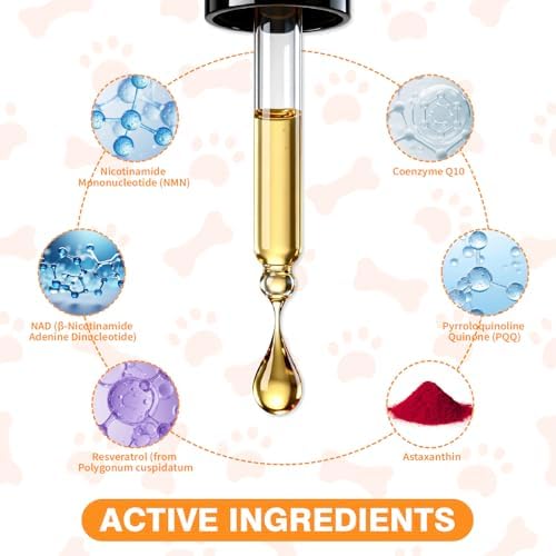 Mature Dog Vitality Drops with NMN,NAD+ & CoQ10-Longevity Supplement,Healthy Aging,Cellular Energy & Antioxidant Support -60ml（2 FL OZ） - Image 2
