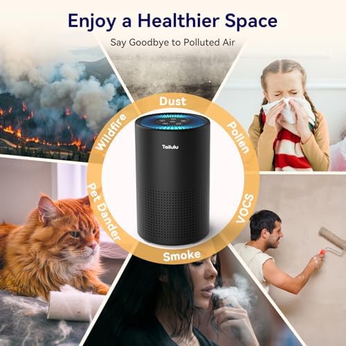 Air Purifiers for Bedroom Home, Tailulu H14 True HEPA Air Purifier Filter, Quiet Air Cleaner With 12dB Sleep Mode Night Light Speed Control Timer, Portable Small Air Purifier For Allergies Pets, AP052 - Image 4