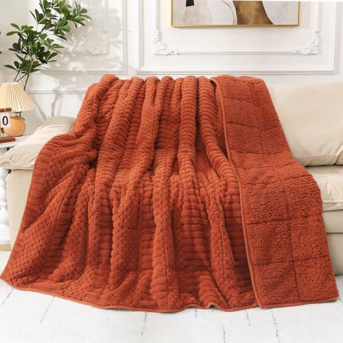 Cottonblue Sherpa Fleece Weighted Blanket 15 lbs for Adults Queen Size Soft by Cottonblue