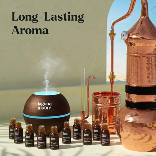 Essential Oils Set - Top 10 Gift Set Blends for Fragrance, Diffusers, Humidifiers, Aromatherapy, Cars & Home Products, Room Sprays, Candle Making, Yoga - Fragrance Oils for Botanical Fresheners Making - Image 6