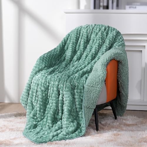 Topblan Weighted Blanket for Adults, 20lbs 60 x 80 Queen Size for Bed by Topblan