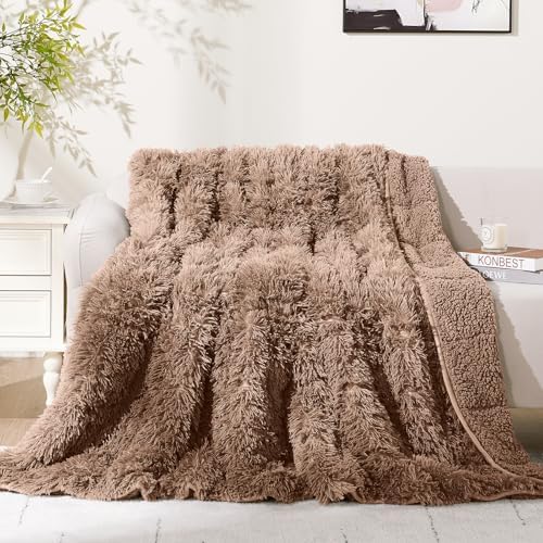 Cottonblue Weighted Blanket 15lbs for Adults Queen Size 60x80in Soft Sherpa by Cottonblue