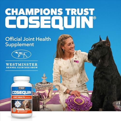 Nutramax Laboratories Cosequin Maximum Strength Joint Health Supplement for Dogs - With Glucosamine, Chondroitin, and MSM, 2 Pack, 264 Total Chewable Tablets - Image 2