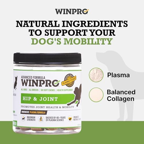 WINPRO Hip & Joint Supplement for Dogs - Plasma Powered Soft Chews for Joint Health & Mobility – Fast-Acting with Collagen & Natural Ingredients for Dogs of All Breeds – 60 Chews - Image 3