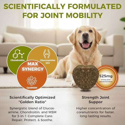Hip & Joint Chews for Senior Dogs – Advanced Mobility Formula - Image 4