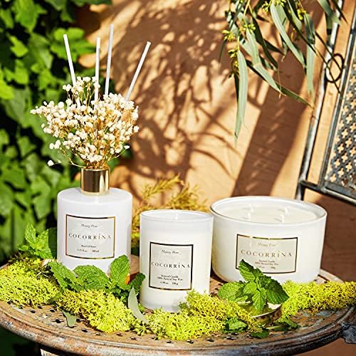 Cocorrína Premium Reed Diffuser Set with Preserved Baby's Breath & Cotton Stick Coconut Lime | 6.7oz Scent Fragrance Oil Diffuser for Bedroom Bathroom Home Décor - Image 2