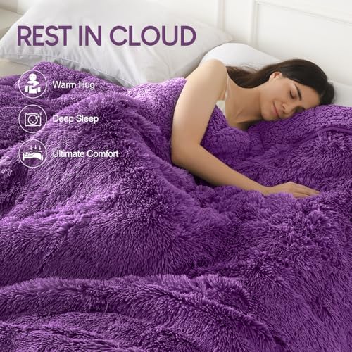 Cottonblue Weighted Blanket 15 lbs Twin Full Size 48x72 inches Soft Sherpa - Image 2