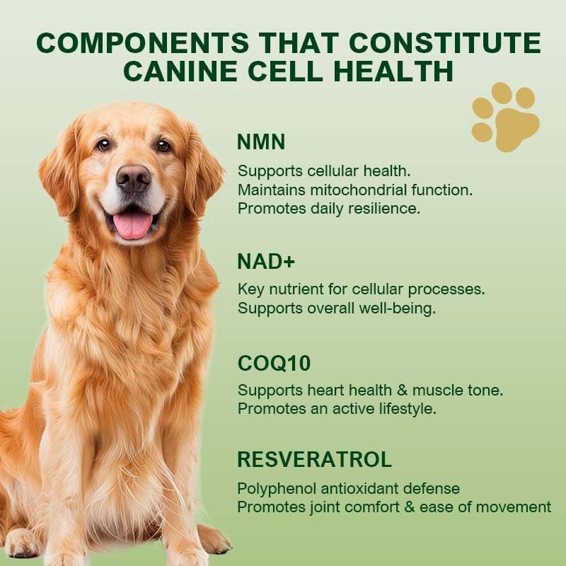 NMN Supplement for Dogs NAD+ Booster - Anti-Aging & Longevity - Image 4